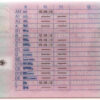 Lkw führerschein